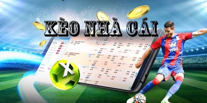 Soi Kèo Nhà Cái Tối Nay – Phân Tích Chi Tiết, Chuẩn Xác